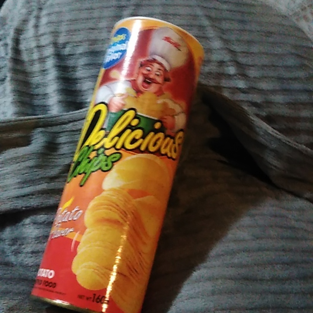Prank Potato Chips Container